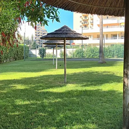 T1 Na Da Rocha Apartment *